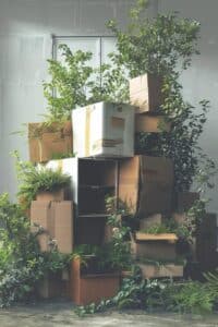 Sustainable Moving Solutions